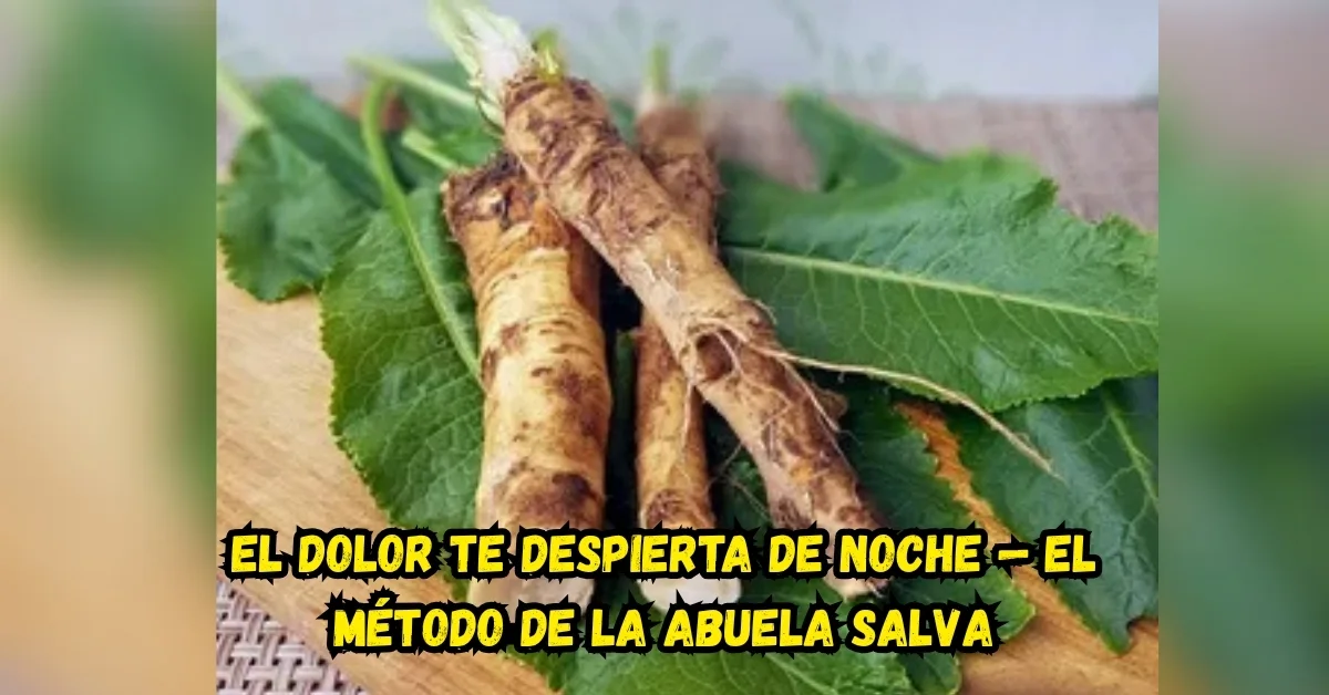 Persona mayor haciendo ejercicio de flexibilidad en casa